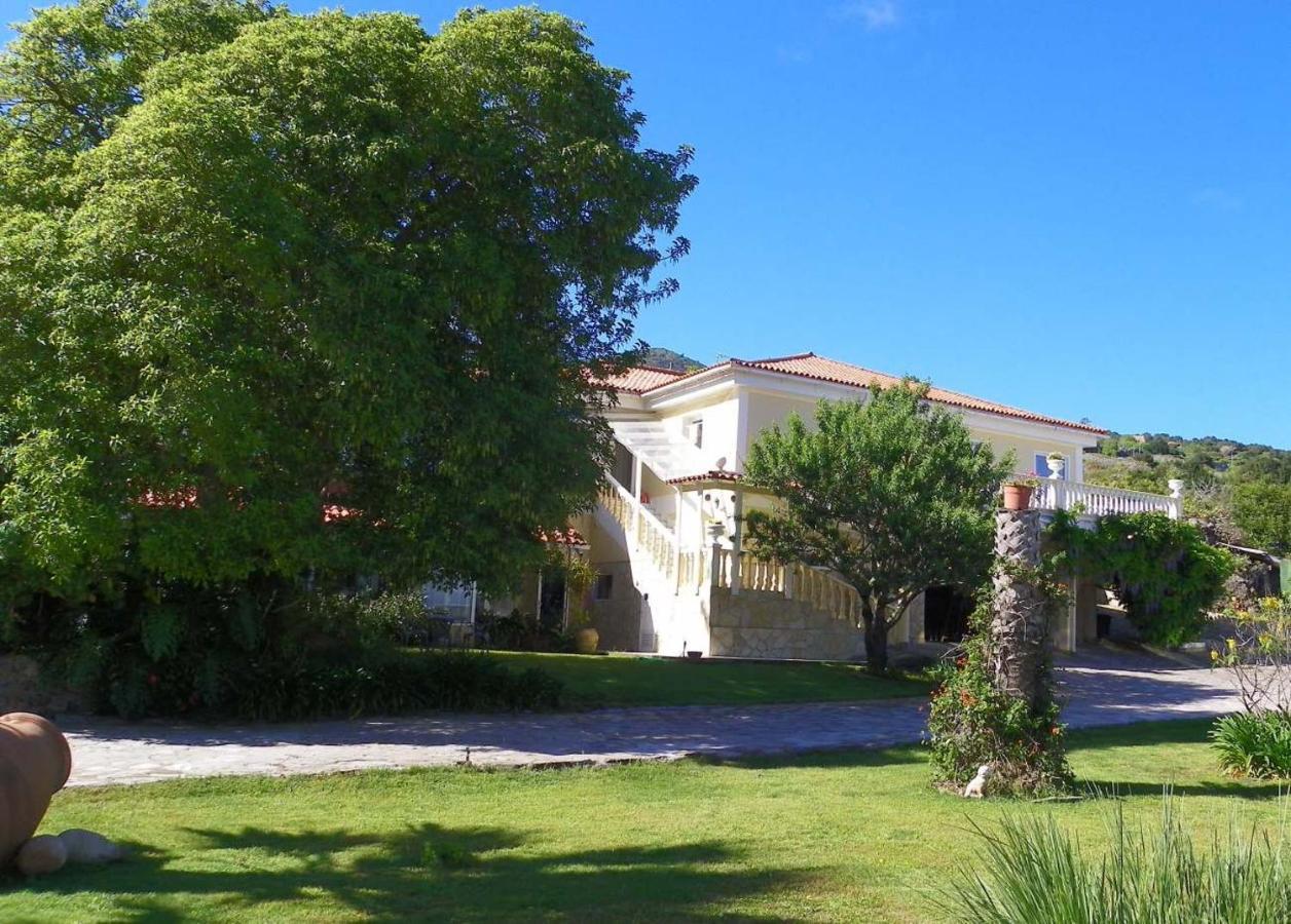 Casa-Palo-Pique Leilighet Icod De Los Vinos Eksteriør bilde